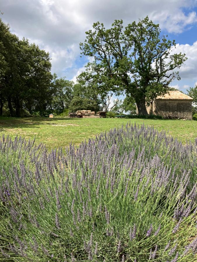 La Bastide Des Roman Villa Vernegues Exteriör bild
